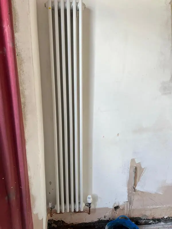 Vertical column radiator installation with TRV valve