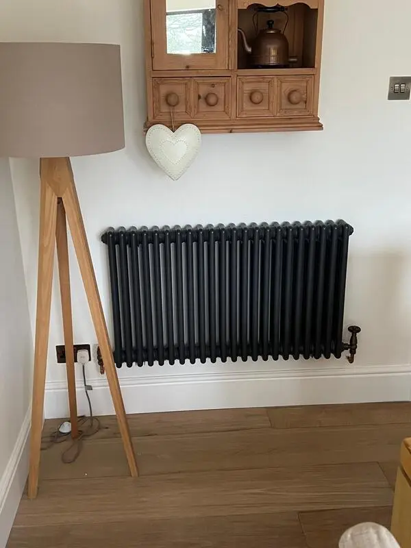 Anthracite horizontal column radiator installation in living room